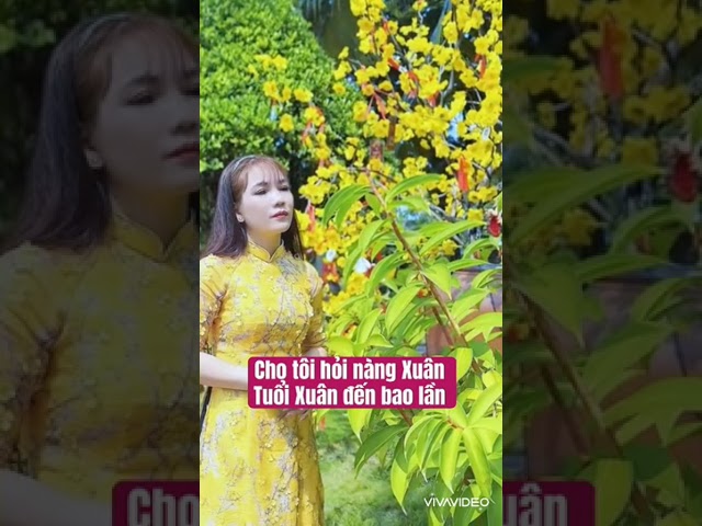 cover CHO TÔI HỎI NÀNG XUÂN  .nhạc vàng xưa  !