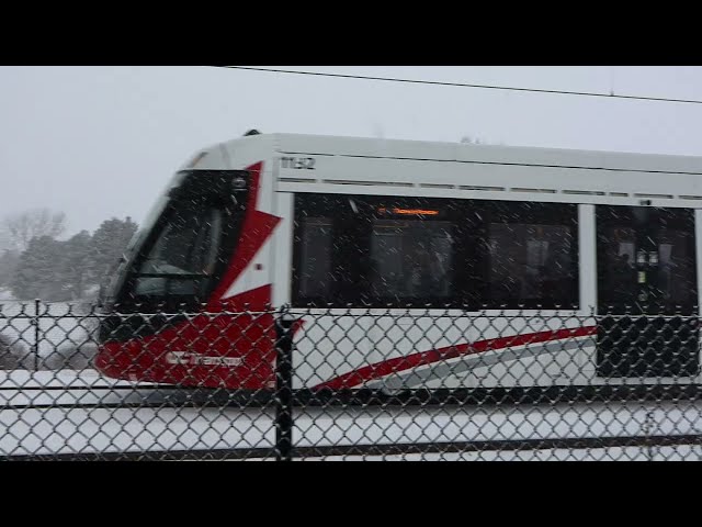 Line 1 Trains at Bayview