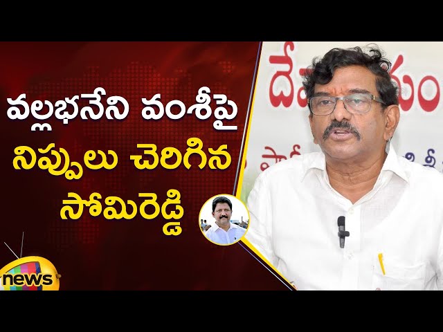 Somireddy Chandra Mohan Reddy Serious Comments On Vallabhaneni Vamsi | AP Politics | Mango News