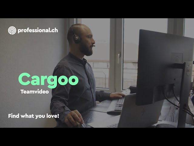 Arbeiten bei Cargoo: Teamgeist und Technologie weltweit vereint | professional.ch