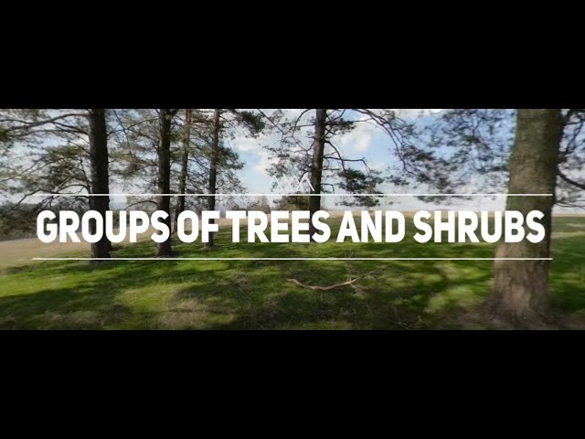 Carpathians Unite - Green Infrastructure: groups of trees and shrubs