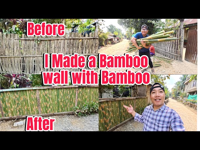 I Made a Bamboo wall with Bamboo || Bamboo wall design ||