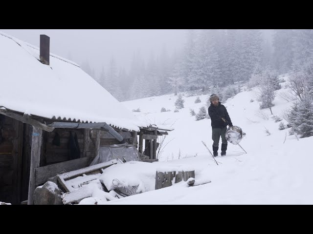 hiding in abandoned log cabin for deep cold