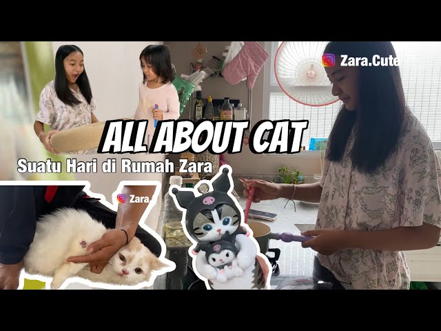 Daily Routine | All About Cat !!! Yeay Bakpao Ulang Tahun .. Kucing ZaKeSa