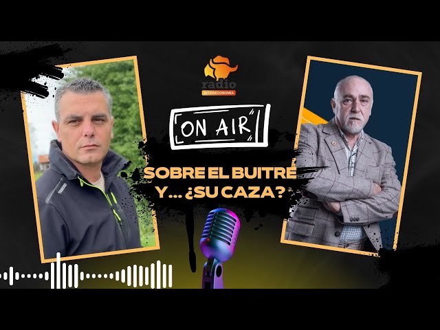 Sobre el buitre y.... ¿Su caza? 💥 Intervención en Radio Intereconomía