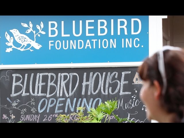 Bluebird Foundation Inc. Open Day