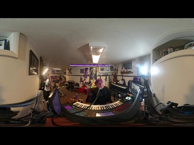 insta 360 x4! test  -Kittens