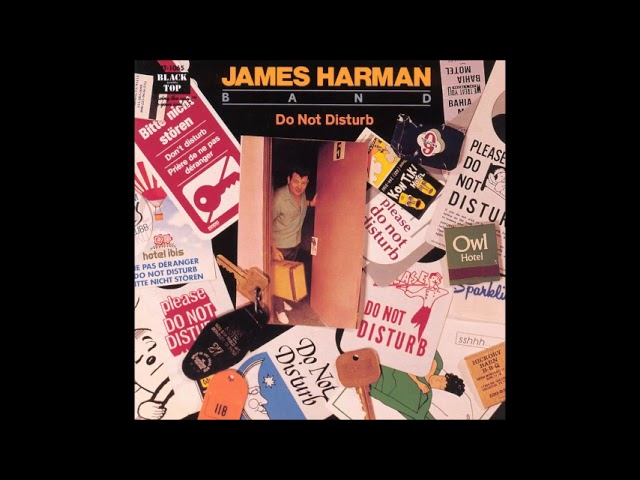 The James Harman Band - Do Not Disturb