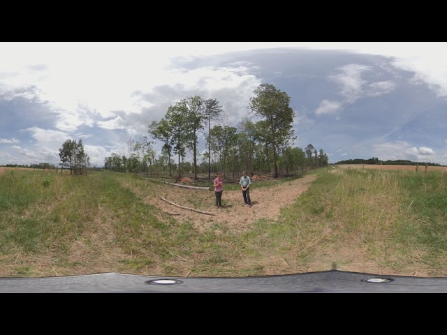 Longleaf Pine Forest Restoration 360 Hike: Closing