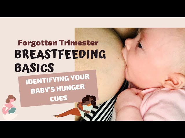 Breast feeding basics: Identifying Your Baby's Early Hunger Cues