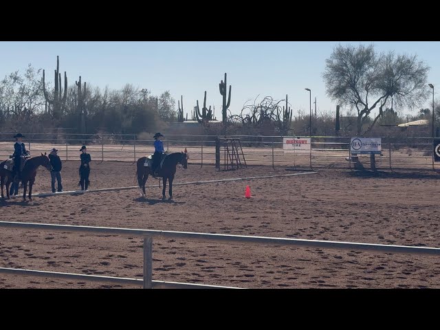 2025 AZ Interscholastic Equestrian Association Show - Varsity Intermediate Horsemanship