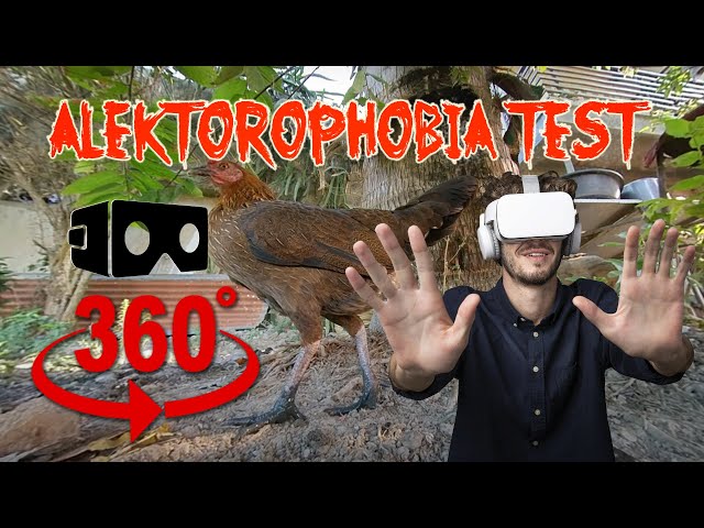 360 Video | Face Your Fears VR | Fear of Chickens | Alektorophobia Test