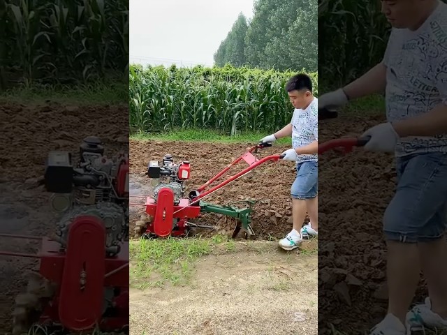 Small tillage machine #agriculture #farming #machine #food #plants #technology #garden