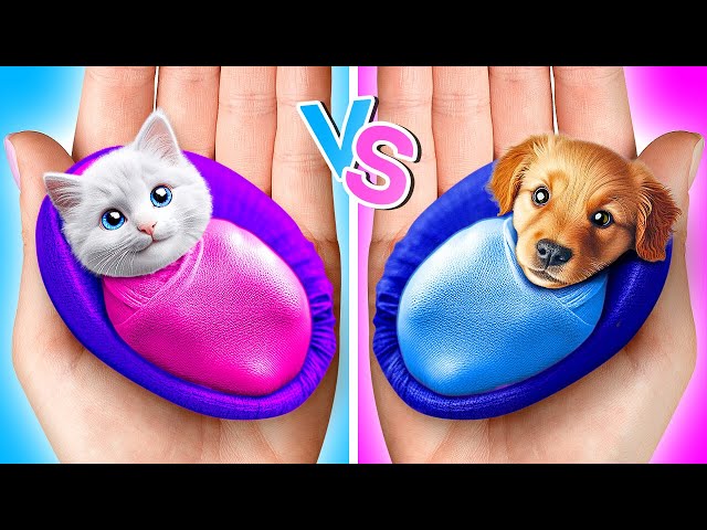 Cats VS Dogs 🐶😻 *Rich vs Poor DIY Gadgets and Fidget Hacks for Pet Owners*