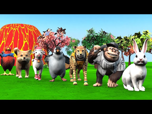 Paint & Animals Dog, Pig, Rabit Buffalo, Lion Fountain Crossing Transformation Animal Cartoon -P1