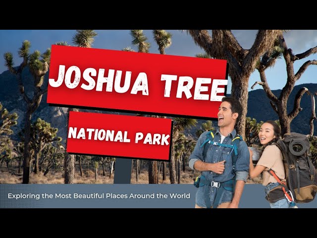 Journey Through Joshua Tree National Park: Tips and Highlights