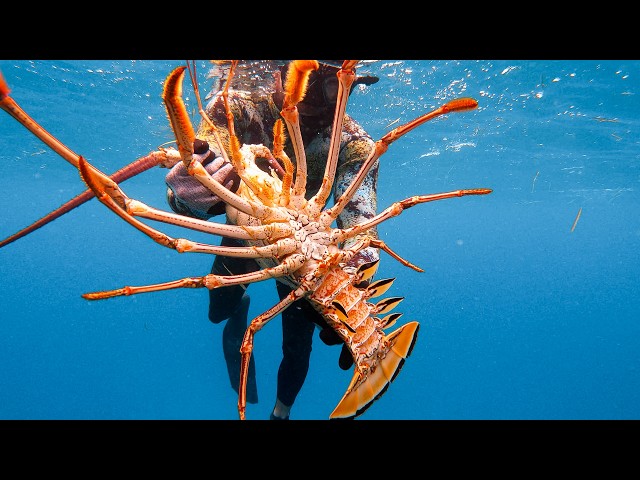 GIANT LOBSTER! (Bahamas Spearfishing Catch & Cook)