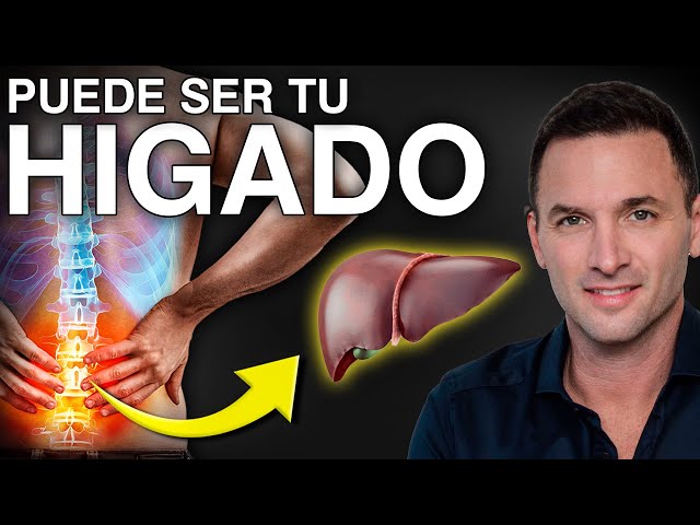 Dolor de ESPALDA alta por problemas de HIGADO 😖 | Hígado graso - 3 Tratamientos naturales