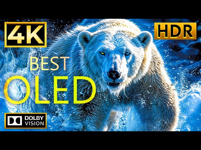 4K Video ULTRA HD - Dolby Vision HDR 4K (60 FPS) | WITH CINEMATIC SOUND (Colorful Animal Life)