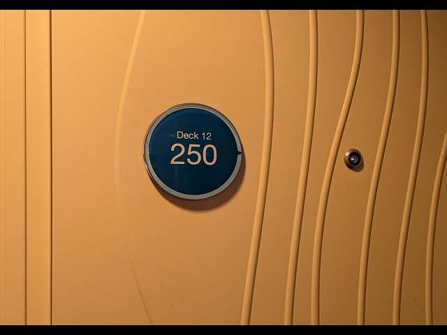 Royal Caribbean Allure of the Seas cabin 12250 in 360 VR