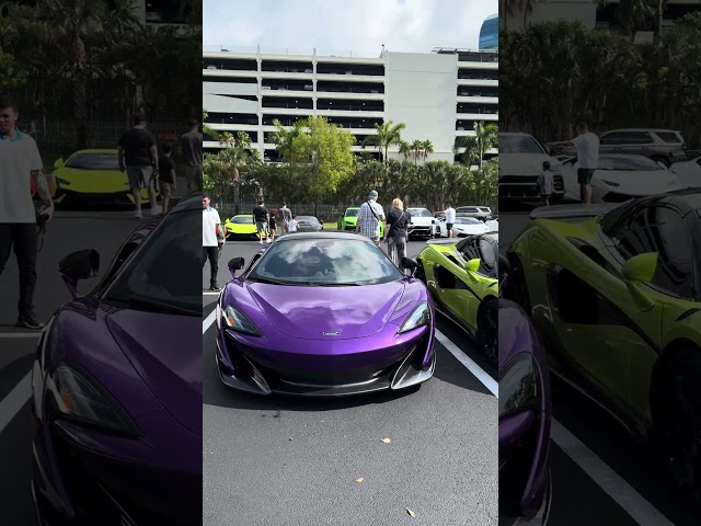 Exotic/Luxury Car Show in Hard Rock Parking Lot, Miami/Florida. Best Luxury Cars. Noisy cars