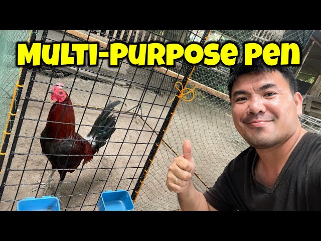 Multi purpose pen for chickens | Breeding Pen