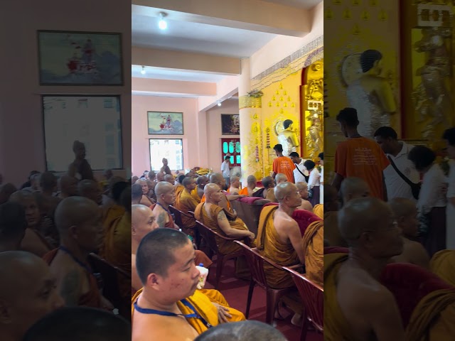 Sangha Dana offering by Thai devotees