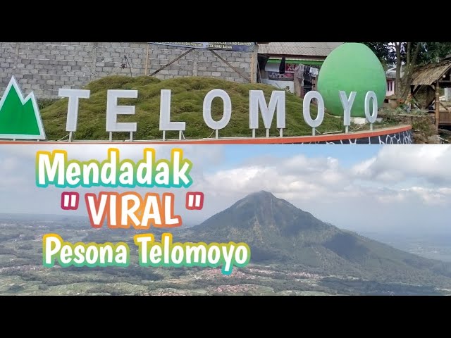 MENDADAK VIRAL " GUNUNG TELOMOYO " NEGERI ATAS AWAN