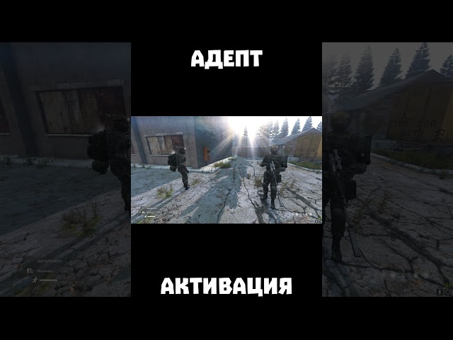 АДЕПТ АКТИВАЦИЯ | STALKER RP | Dayz RP #dayzrp #stalkerrp