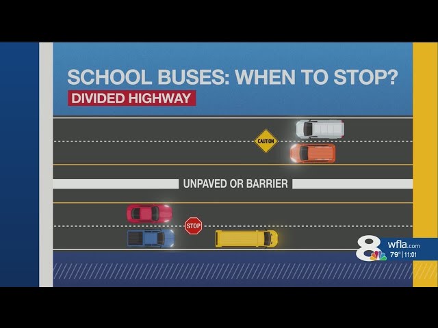 2,500+ tickets to be issued for Hillsborough County drivers illegally passing school buses