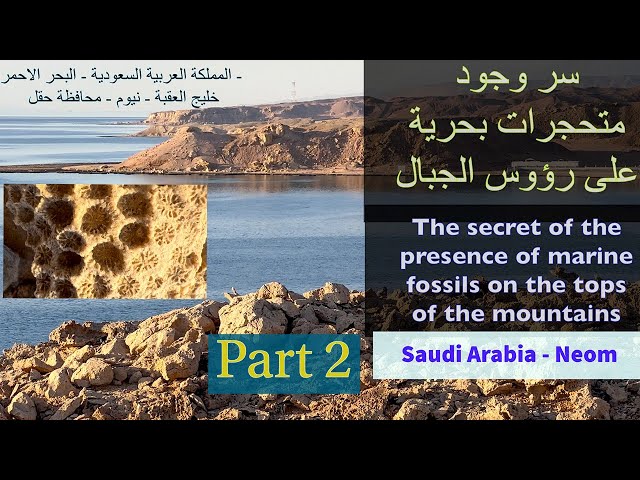 The geological of Gulf of Aqaba ( part 2 )  | ‎ خليج العقبة جيولوجيا