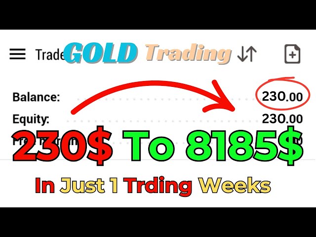 We Made $230 into $8185 Profit In Forex | Secrets to Successful Trading for Making Money Online