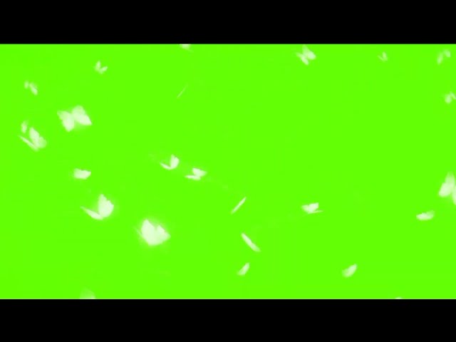 Butter Fly Video Effect | Green Screen | All in One