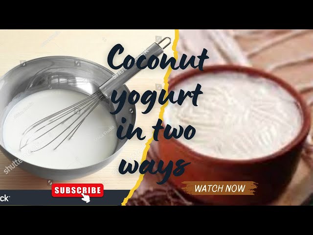 Homemade 2- Ingredients Coconut Yogurt | Dairy-Free, Vegan | My Kitchen Vlog