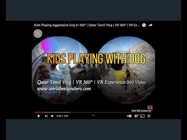 4K Video Kids Playing With Dog VR 360° | VR Experience 360 Video