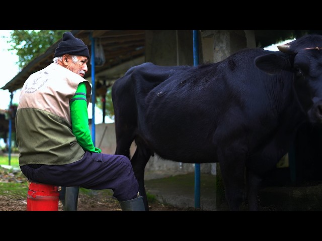 A Day in the Life of Rural Iran: Elderly Couple's Perspective | Documentary