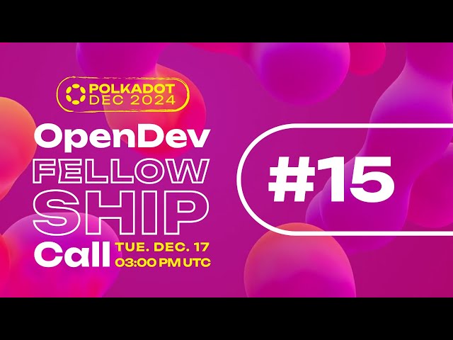 OpenDev Core Polkadot Call - Dec 2024