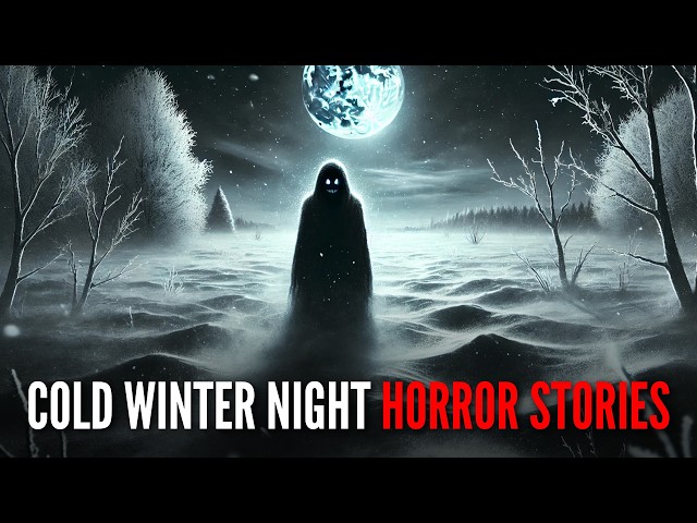 3 Scary TRUE Cold Winter Night Horror Stories