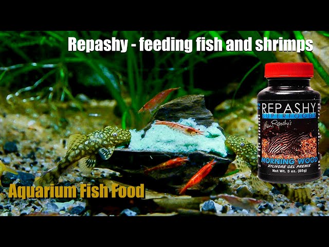 Repashy - great food for your grazers