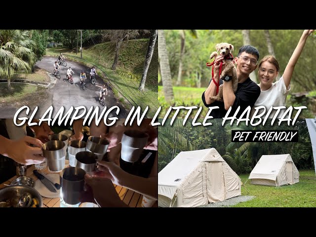 轻松露营2天一夜 ｜ 狗狗友好露营区 ｜庆祝我们的生日 - Glamping in Little Habitat Bentong Campsite