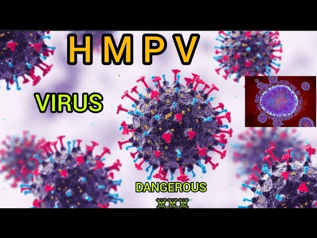 H M P VIRUS || WHAT IS HMP VIRUS ? || #hmpvvirus #hmpv