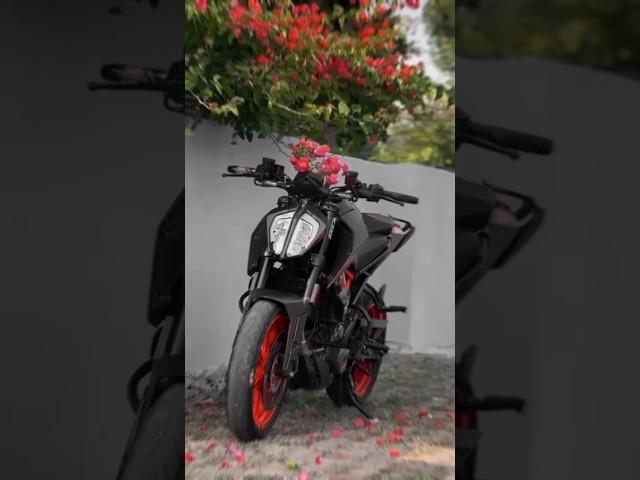 Most powerfull KTM Duke 390 top model Duke ka #shorts #video #viral