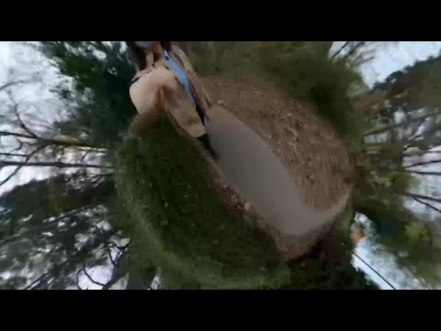 360 video effect