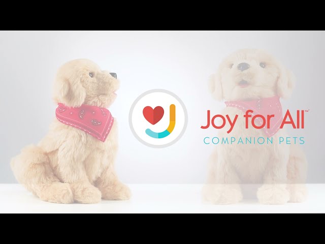 Joy for All - Pup Demo