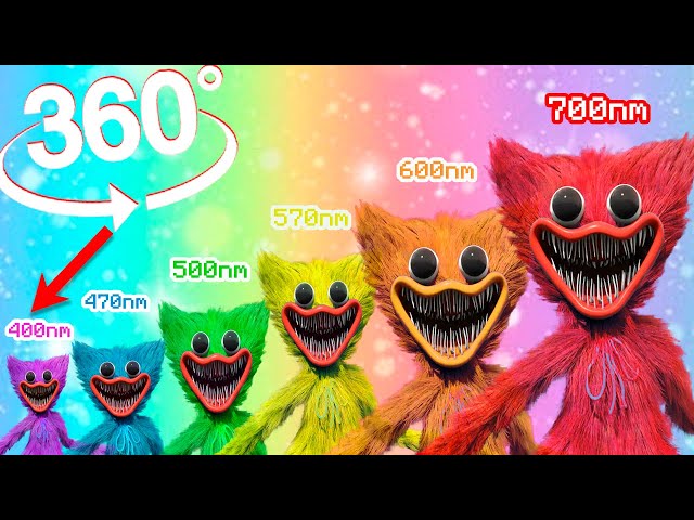 360° VR Poppy playtime Huggy Wuggy & Kissy missy - In every color of the rainbow