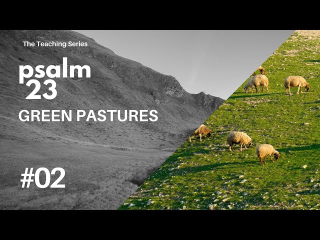 Green Pastures | Psalm 23 Pt 2 | EP035