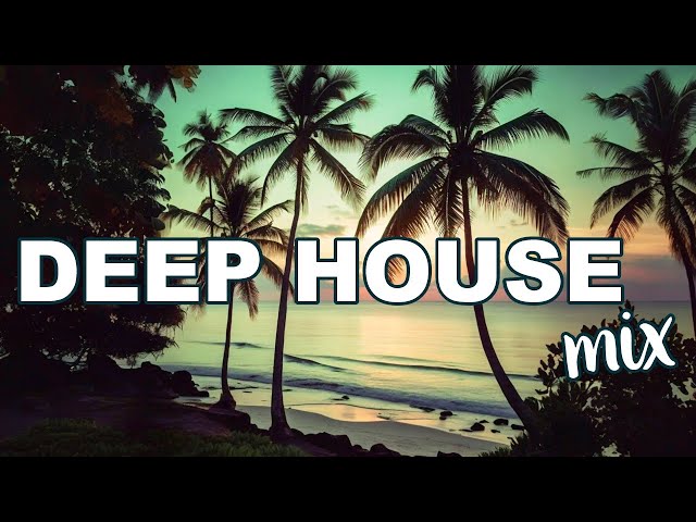 🔴 Epic Summer Beats 🌟 2025 Progressive & Techno Mix 🏄 Deep House-Gaming Music