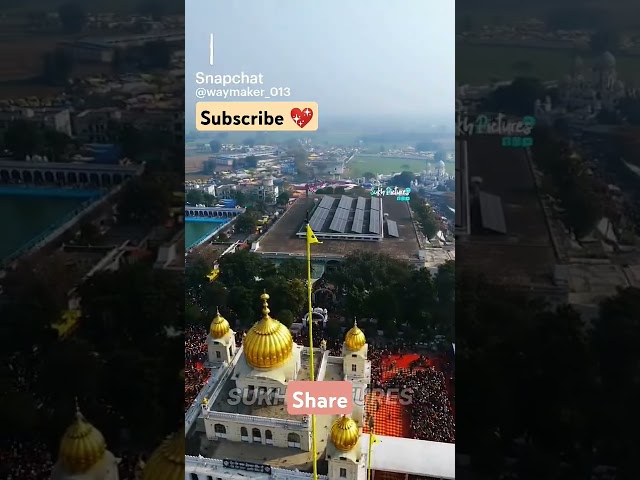 Gurbani from Darbar Sahib 💝💐💞 #shortsfeed #sikhprayer #waheguru #gurbanikirtan #gurbani #sikhmusic