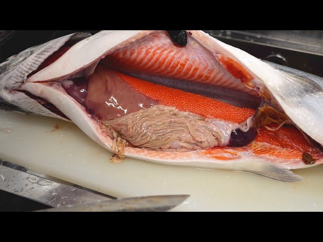 Unbelievable: Found Something Shocking in a 60,000 Yen Salmon's Stomach from the Market! Why?