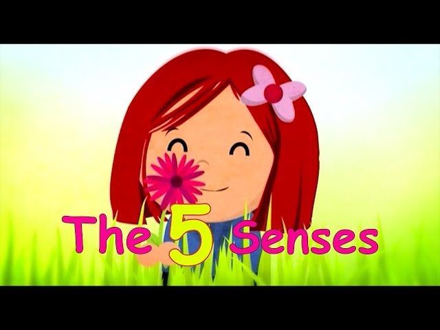 The 5 Senses - Toyor Baby English